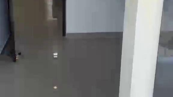 Featured Video