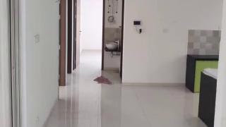 Featured Video