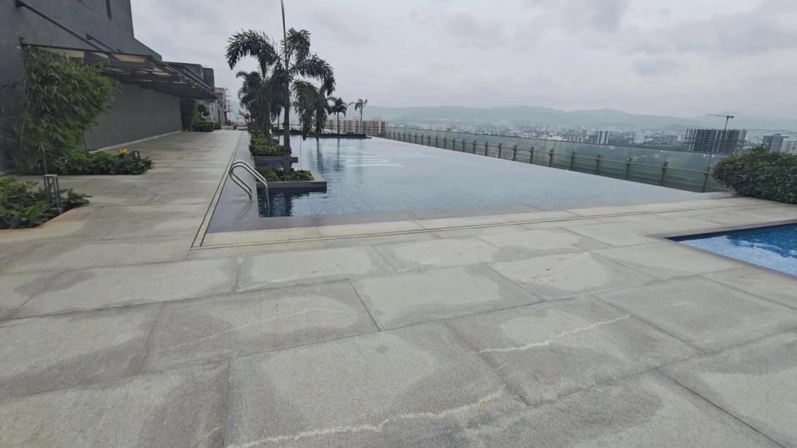 Wildernest At SP Kingston Video 1