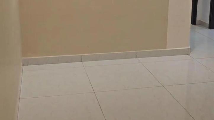 Featured Video