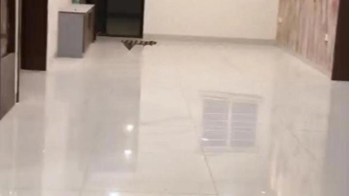 Featured Video